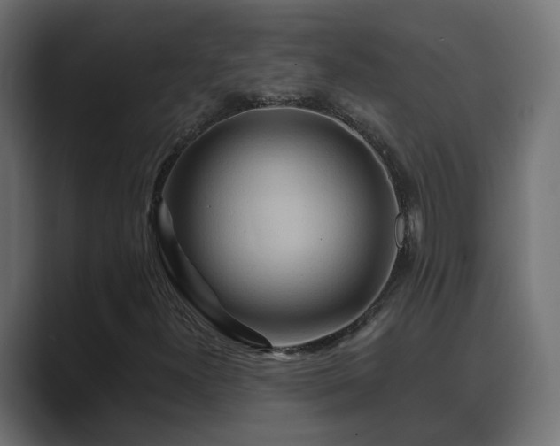X0000089661300200706281314