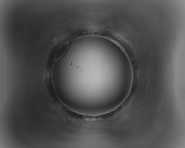 X0000089661302200706281314