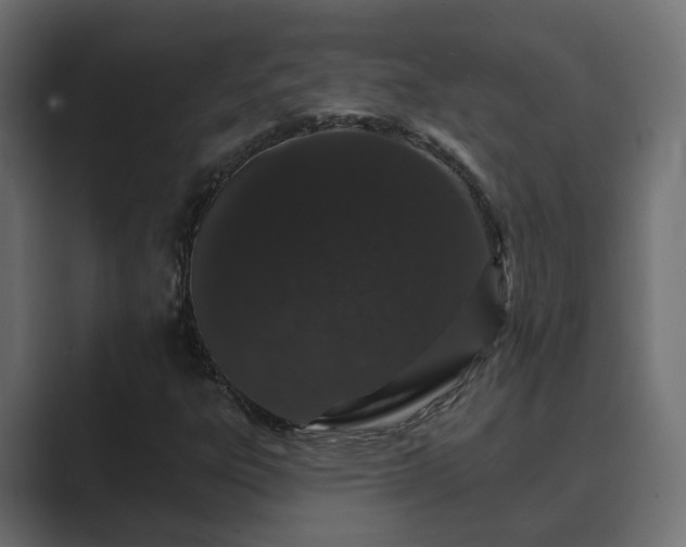 X0000089661303200706281314