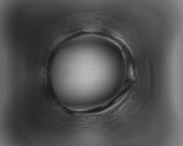 X0000089661304200706281314