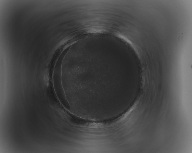 X0000089661306200706281314