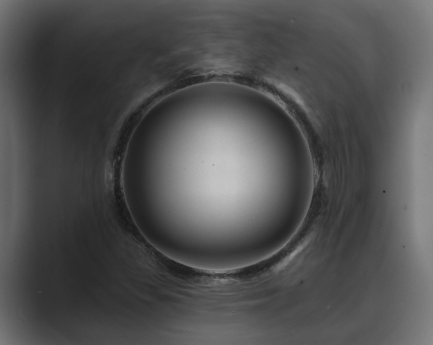 X0000089661309200706281314