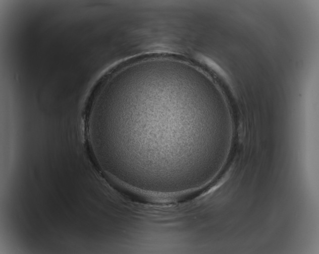X0000089661310200706281314