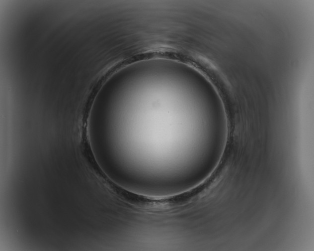 X0000089661313200706281314