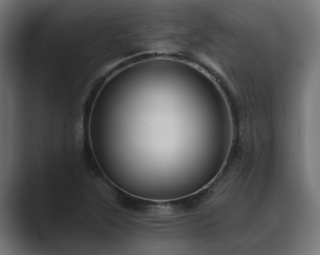 X0000089661315200706281314