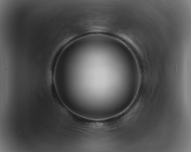 X0000089661317200706281314