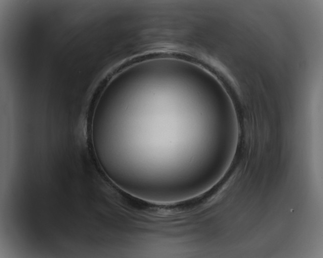 X0000089661318200706281314