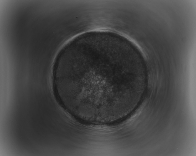 X0000089661319200706281314