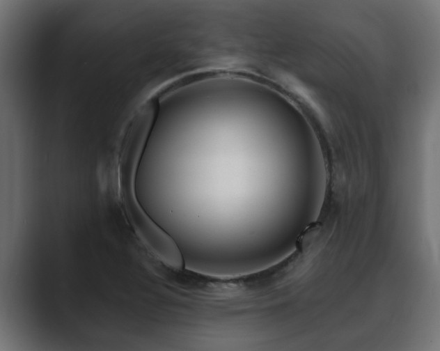 X0000089661320200706281314