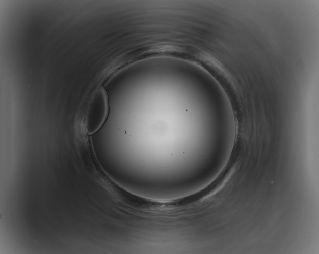X0000089661321200706281314