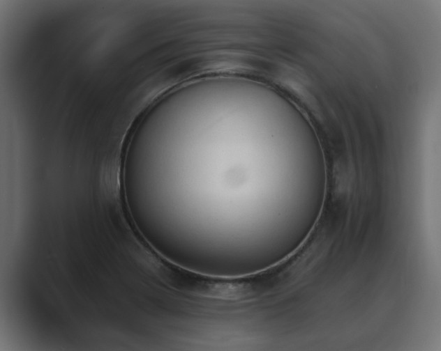 X0000089661322200706281314