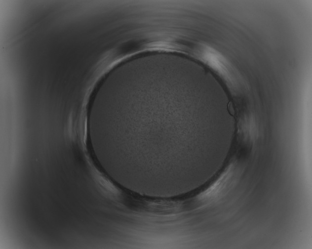 X0000089661323200706281314