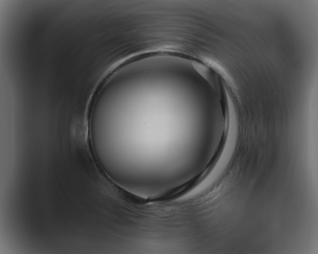 X0000089661324200706281314