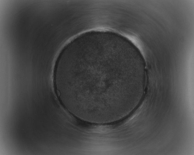 X0000089661327200706281314