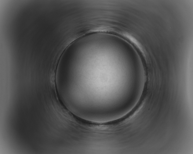 X0000089661329200706281314