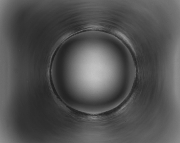 X0000089661330200706281314