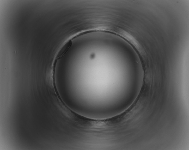 X0000089661332200706281314