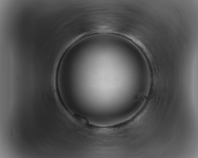 X0000089661333200706281314