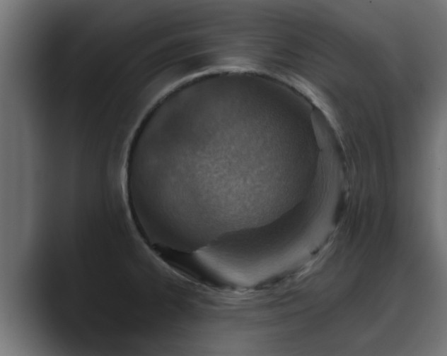 X0000089661334200706281314