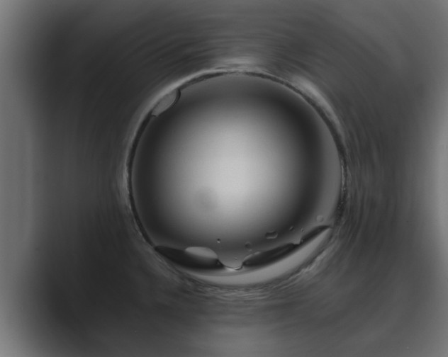 X0000089661336200706281314
