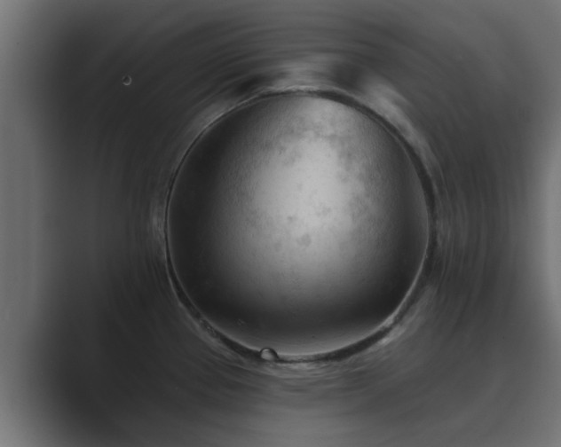 X0000089661337200706281314