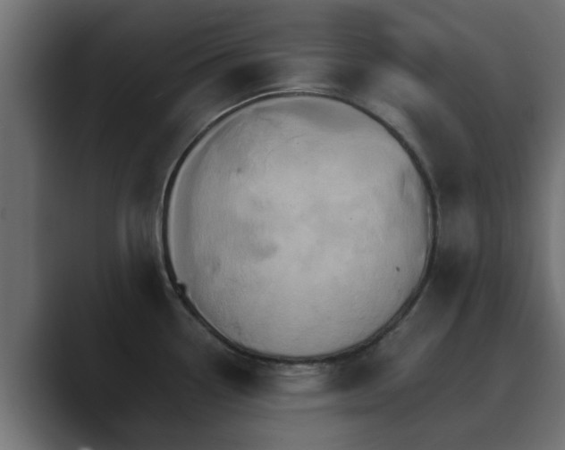 X0000089661338200706281314
