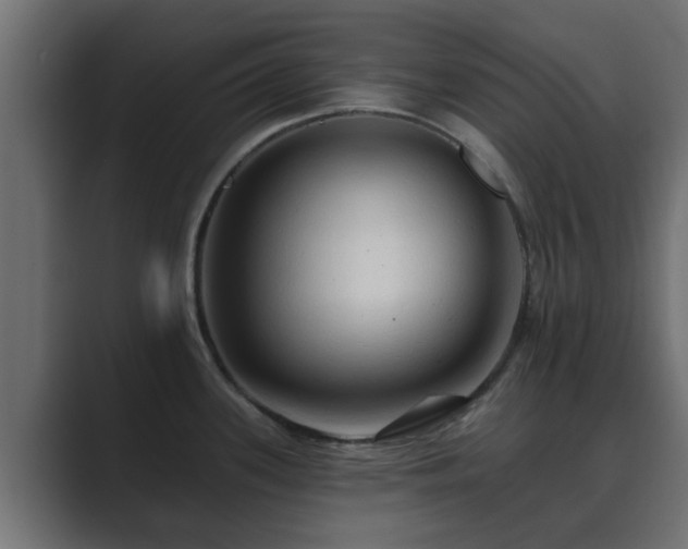 X0000089661339200706281314