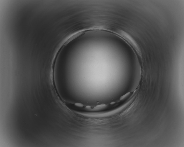 X0000089661340200706281314