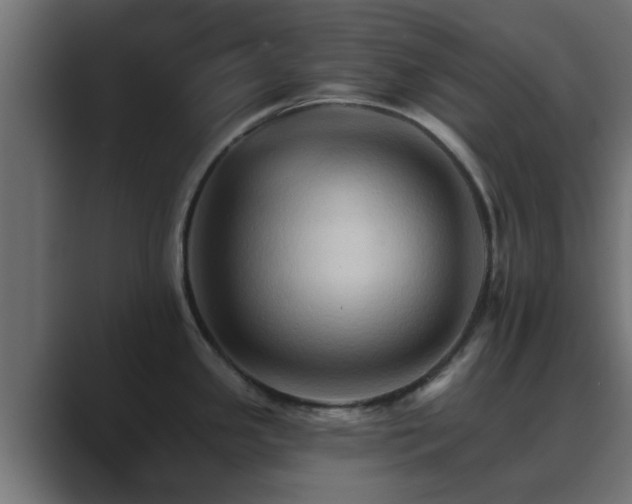 X0000089661341200706281314