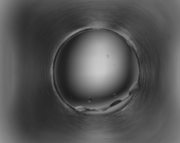 X0000089661343200706281314