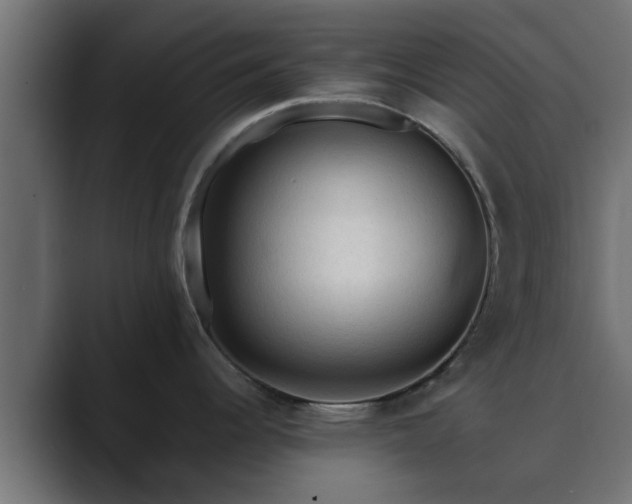 X0000089661344200706281314