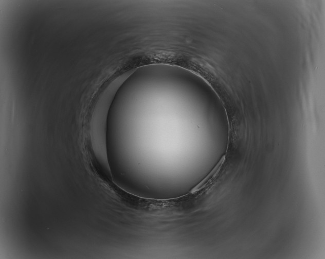 X0000089661345200706281314