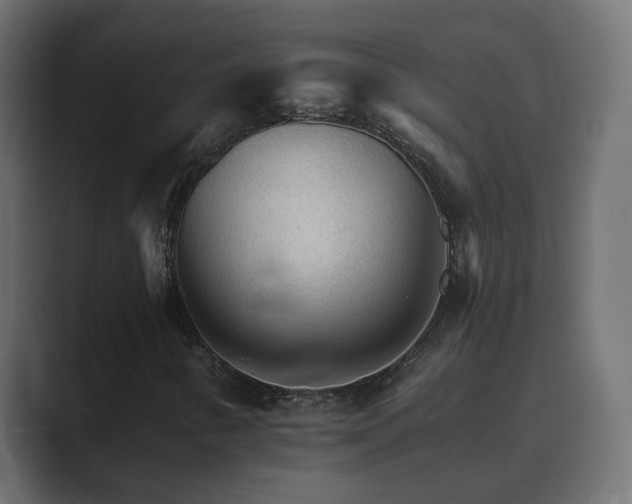 X0000089661346200706281314