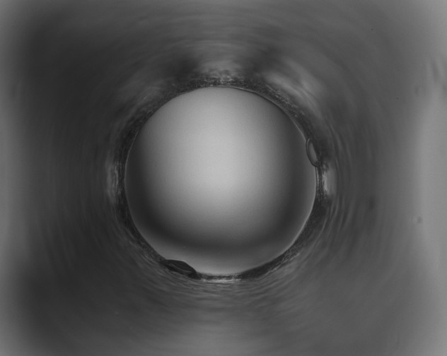 X0000089661347200706281314