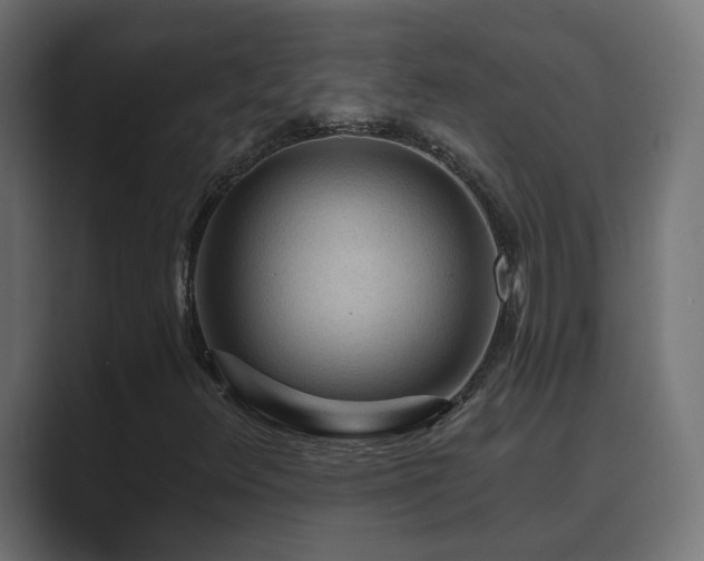 X0000089661348200706281314