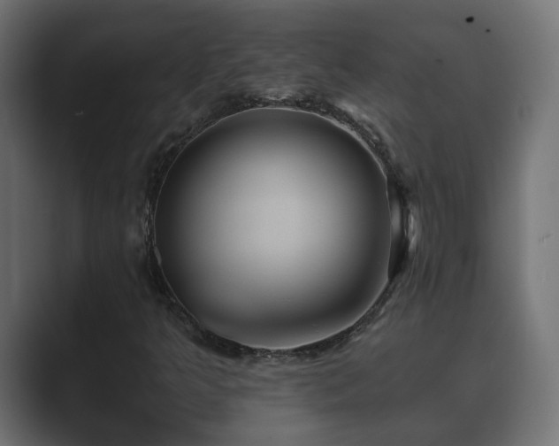 X0000089661349200706281314