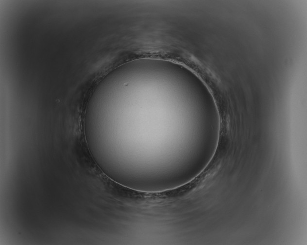 X0000089661350200706281314