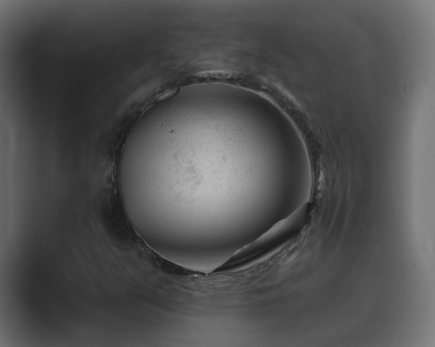 X0000089661351200706281314