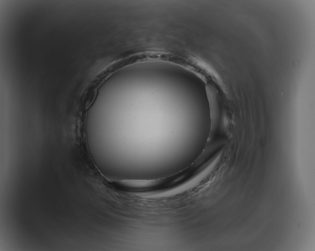 X0000089661352200706281314