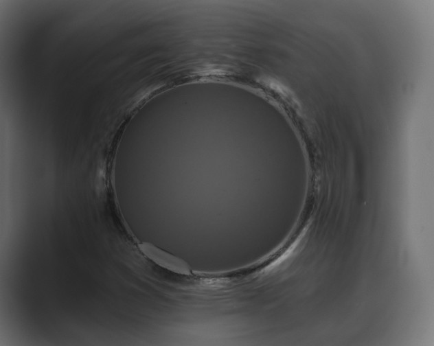 X0000089661353200706281314