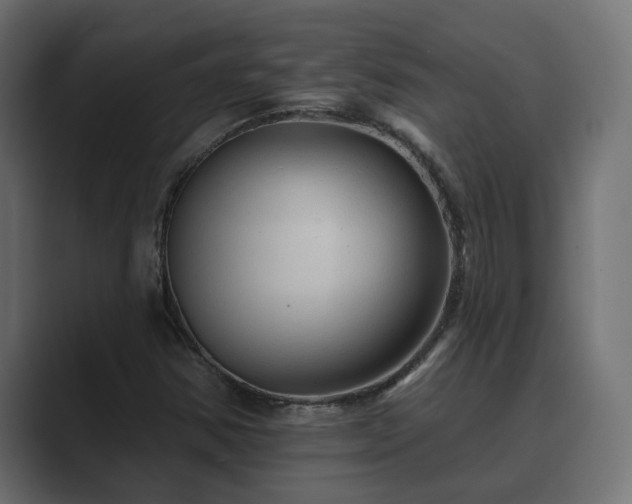 X0000089661354200706281314