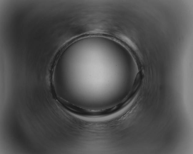 X0000089661356200706281314