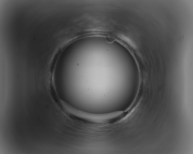 X0000089661357200706281314