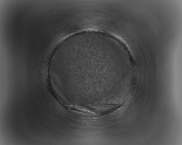 X0000089661359200706281314