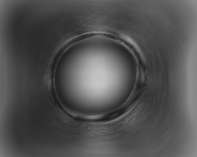 X0000089661360200706281314