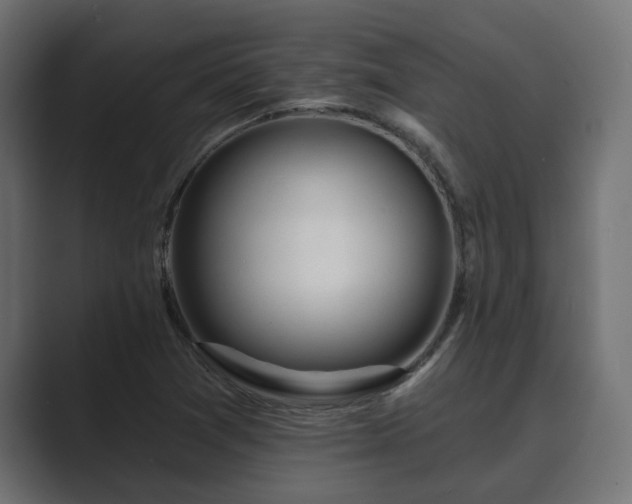 X0000089661361200706281314