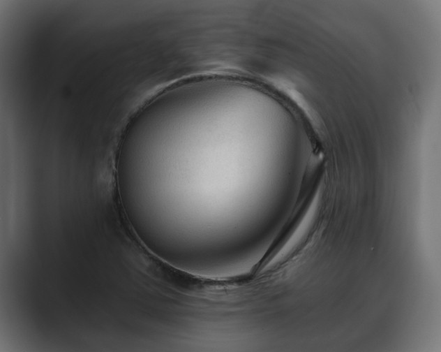 X0000089661363200706281314