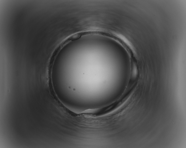 X0000089661364200706281314