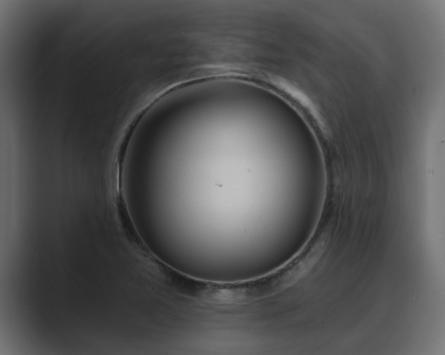 X0000089661365200706281314