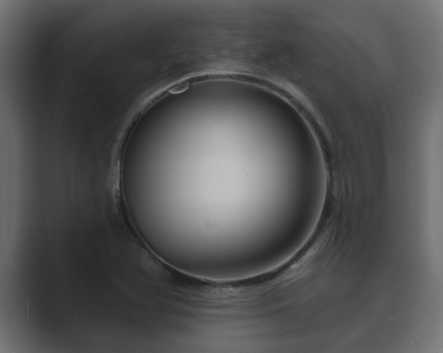 X0000089661366200706281314
